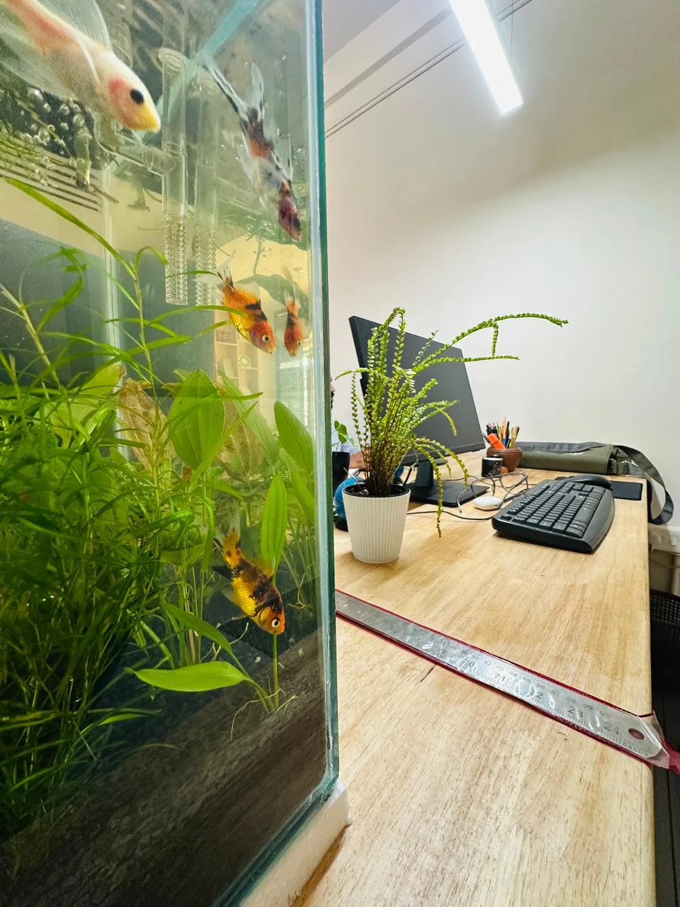 A desk in the Novart Architects studio in Edavannapara